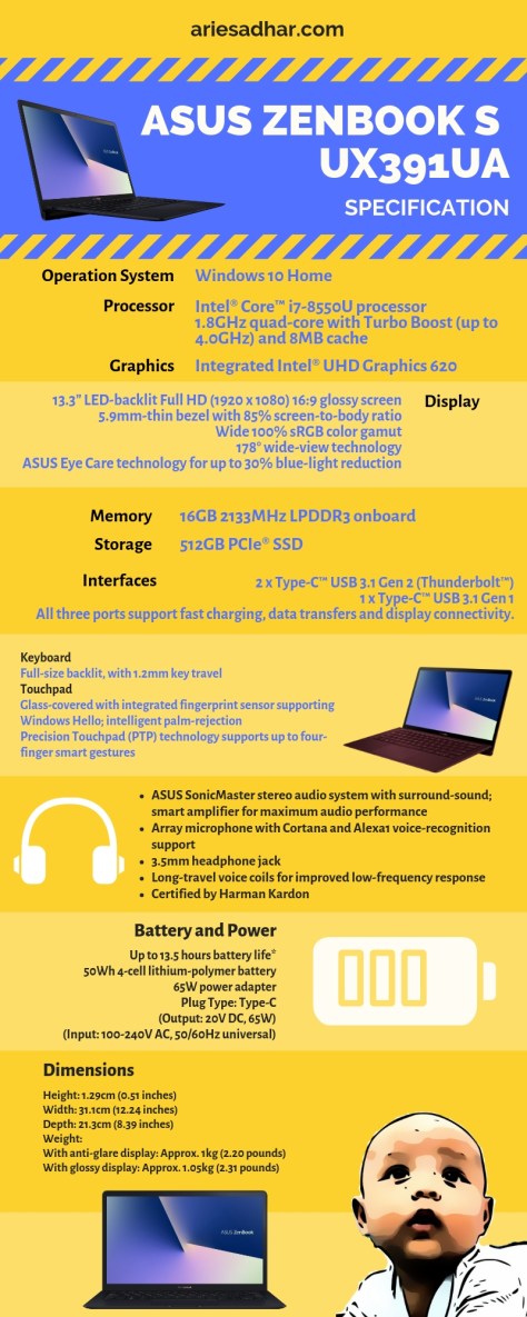 ASUS ZenBook S UX391UA.jpg