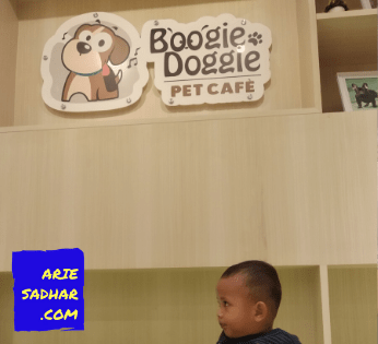 boogie doggie pet cafe